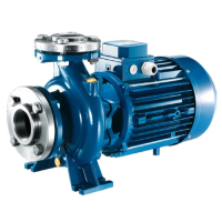 پمپ استخری پنتاکس مدل CM50-200A